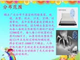 北师大版生物八年级下册 8.24.4 家居环境与健康(13) 课件