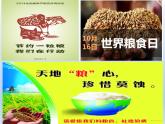 北师大版生物八年级下册 8.24.1 人口增长与计划生育(2) 课件