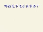 北师大版生物八年级下册 8.24.4 家居环境与健康(9) 课件