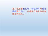 北师大版生物八年级下册 9.25.1 发酵技术(1) 课件
