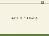 北师大版生物八年级下册 9.25.2 现代生物技术(6) 课件