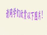 北师大版生物八年级下册 8.24.4 家居环境与健康(1) 课件