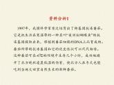 北师大版生物八年级下册 9.25.2 现代生物技术(5) 课件