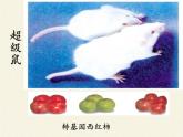 北师大版生物八年级下册 9.25.2 现代生物技术(7) 课件