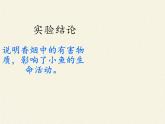 北师大版生物八年级下册 8.24.4 家居环境与健康(10) 课件