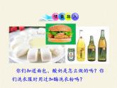 北师大版生物八年级下册 9.25.1 发酵技术(3) 课件