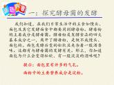 北师大版生物八年级下册 9.25.1 发酵技术(3) 课件