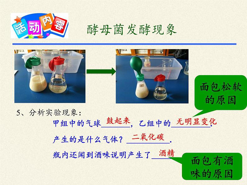 北师大版生物八年级下册 9.25.1 发酵技术(3) 课件05