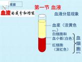 北师大版生物七年级下册 第四单元第九章 人体内的物质运输 复习（课件）