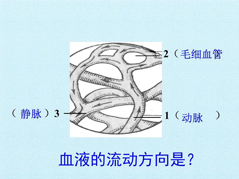 北师大版生物七年级下册 第四单元第九章 人体内的物质运输 复习（课件）第7页