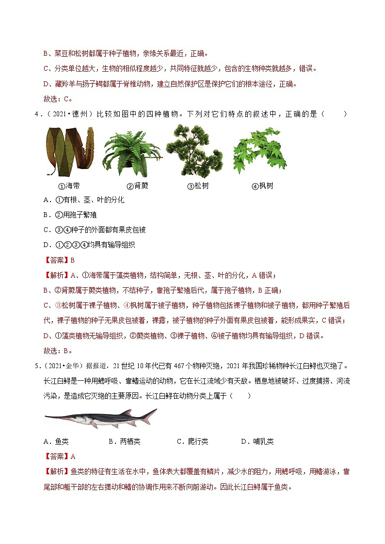 考点29 生物的分类及生物的多样性- 《三步冲刺中考 生物》之第1步小题夯基础第3页