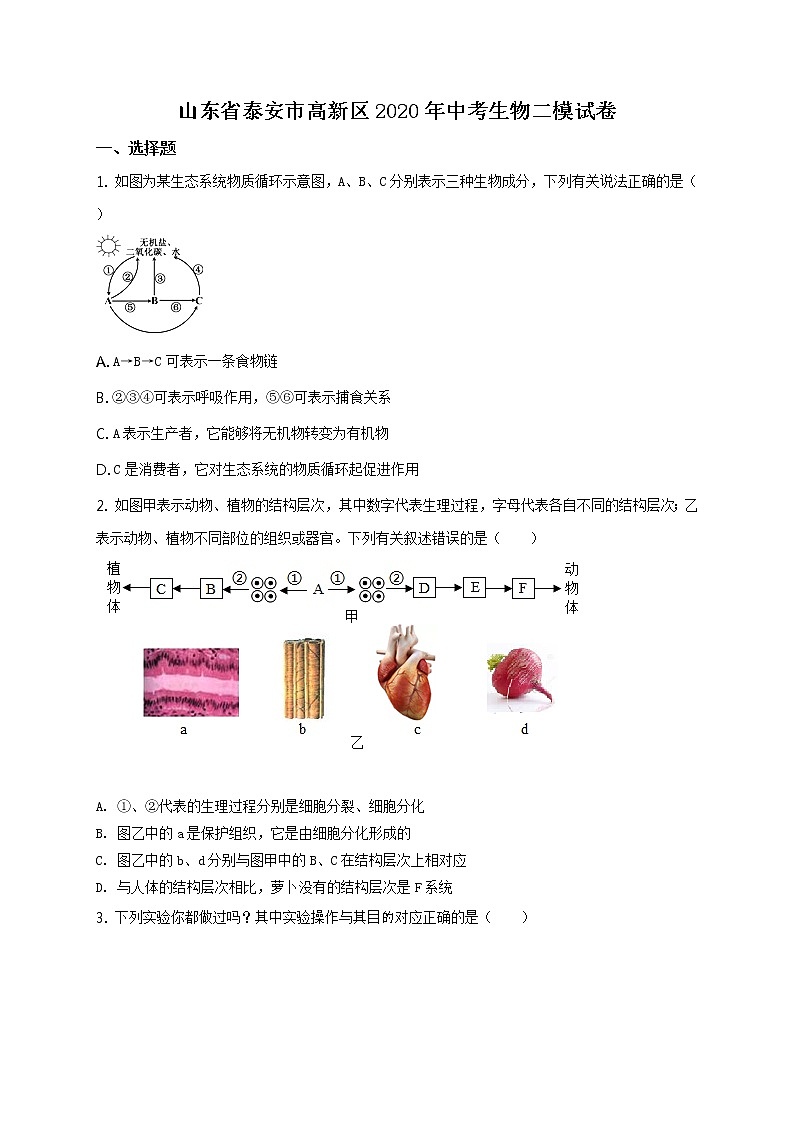 精品解析：2020年山东省泰安市高新区中考二模生物试题（解析版+原卷板）01