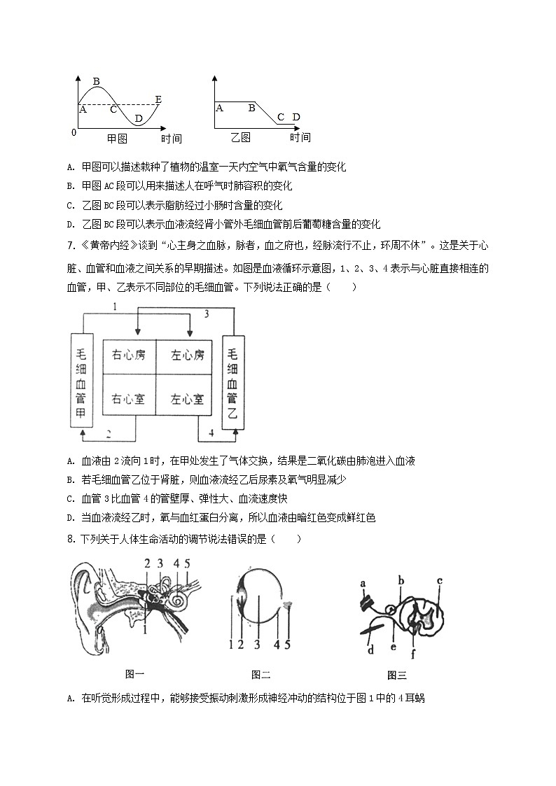 精品解析：2020年山东省泰安市高新区中考二模生物试题（解析版+原卷板）03
