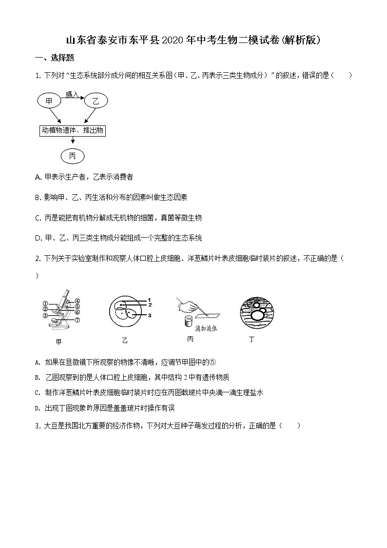 精品解析：山东省泰安市东平县2020年中考二模生物试题（原卷版）第1页