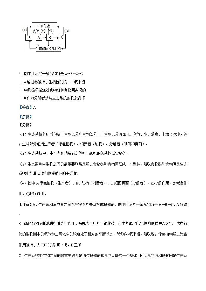 精品解析：2020年山东省泰安市泰山区九年级中考二模生物试题（解析版+原卷板）02