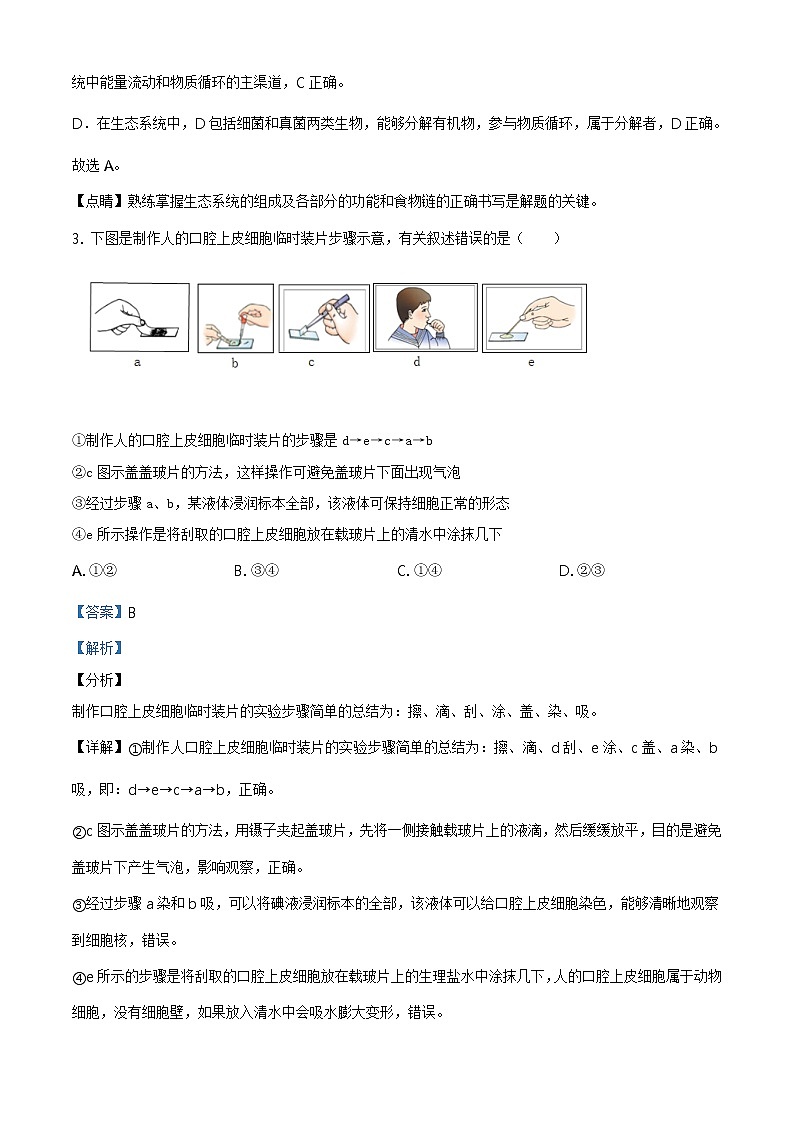 精品解析：2020年山东省泰安市泰山区九年级中考二模生物试题（解析版+原卷板）03