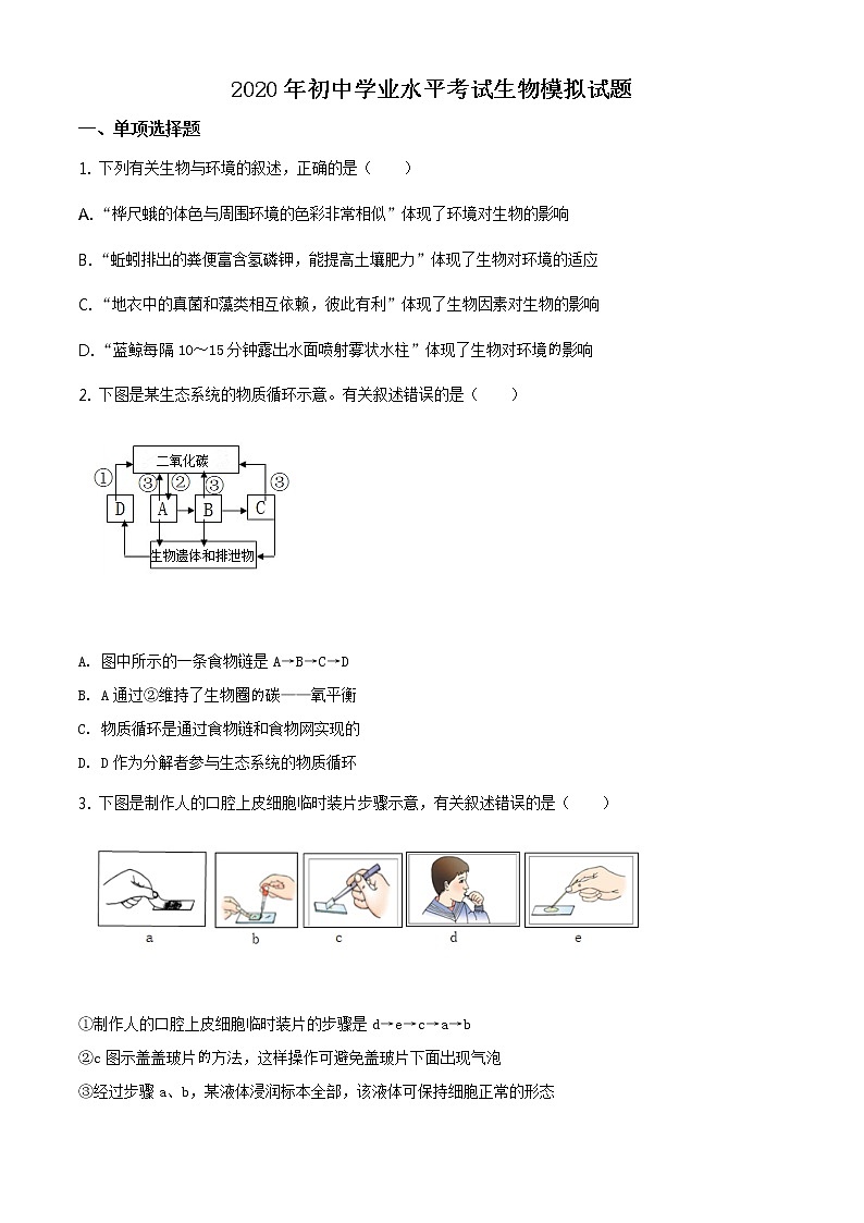 精品解析：2020年山东省泰安市泰山区九年级中考二模生物试题（解析版+原卷板）01
