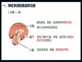 4.6.2神经系统的组成课件（19张PPT）