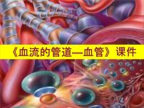 初中生物人教版 (新课标)七年级下册第四单元 生物圈中的人第四章 人体内物质的运输第二节 血流的管道──血管教学ppt课件