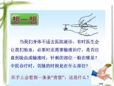 《血流的管道——血管》课件