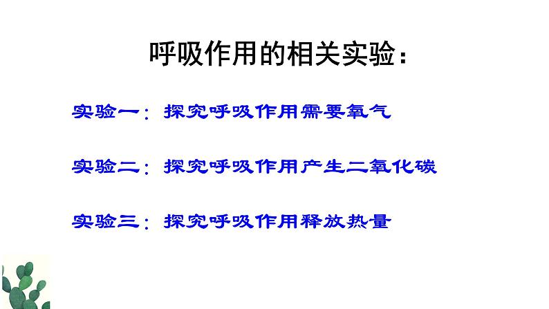 2022年中考会考复习3.5呼吸作用课件第3页