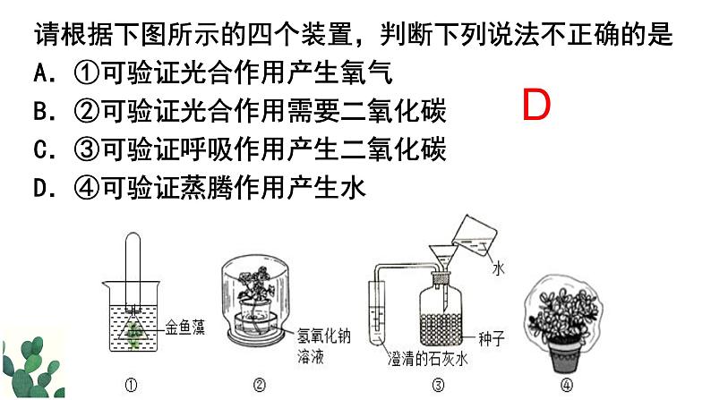 2022年中考会考复习3.5呼吸作用课件第5页