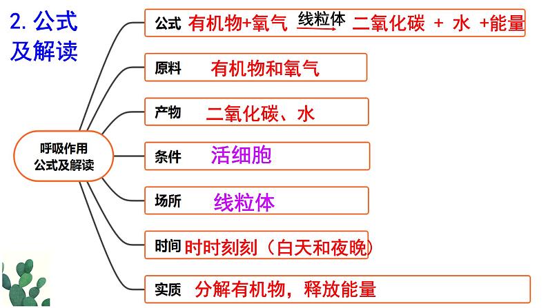 2022年中考会考复习3.5呼吸作用课件第7页