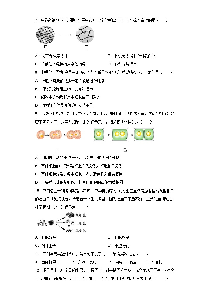 河北省保定市安新县2021-2022学年七年级上学期期末生物试题(word版含答案)02