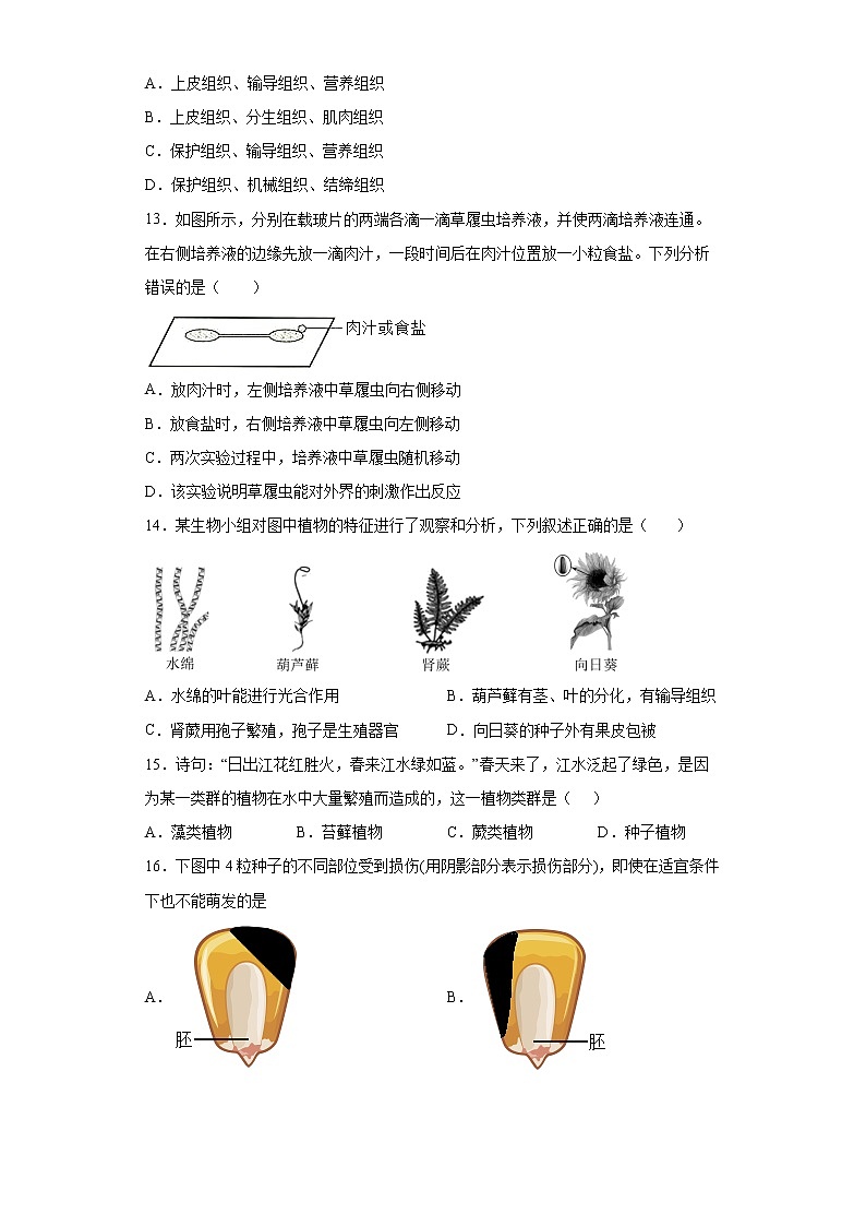 河北省保定市安新县2021-2022学年七年级上学期期末生物试题(word版含答案)03
