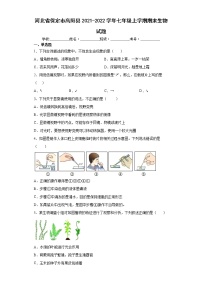 河北省保定市高阳县2021-2022学年七年级上学期期末生物试题(word版含答案)