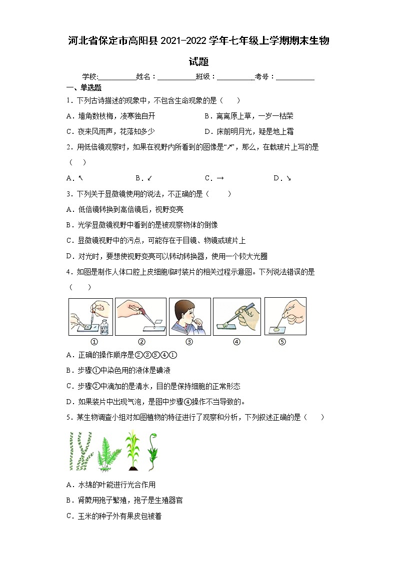 河北省保定市高阳县2021-2022学年七年级上学期期末生物试题(word版含答案)第1页