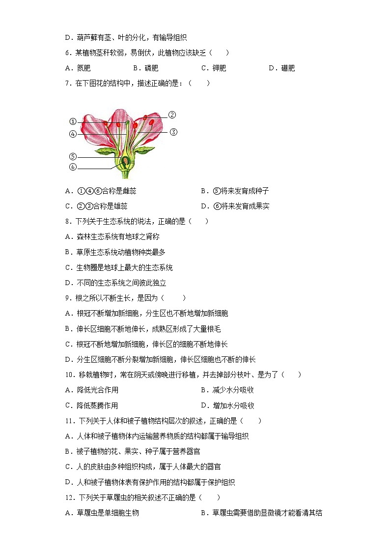 河北省保定市高阳县2021-2022学年七年级上学期期末生物试题(word版含答案)第2页