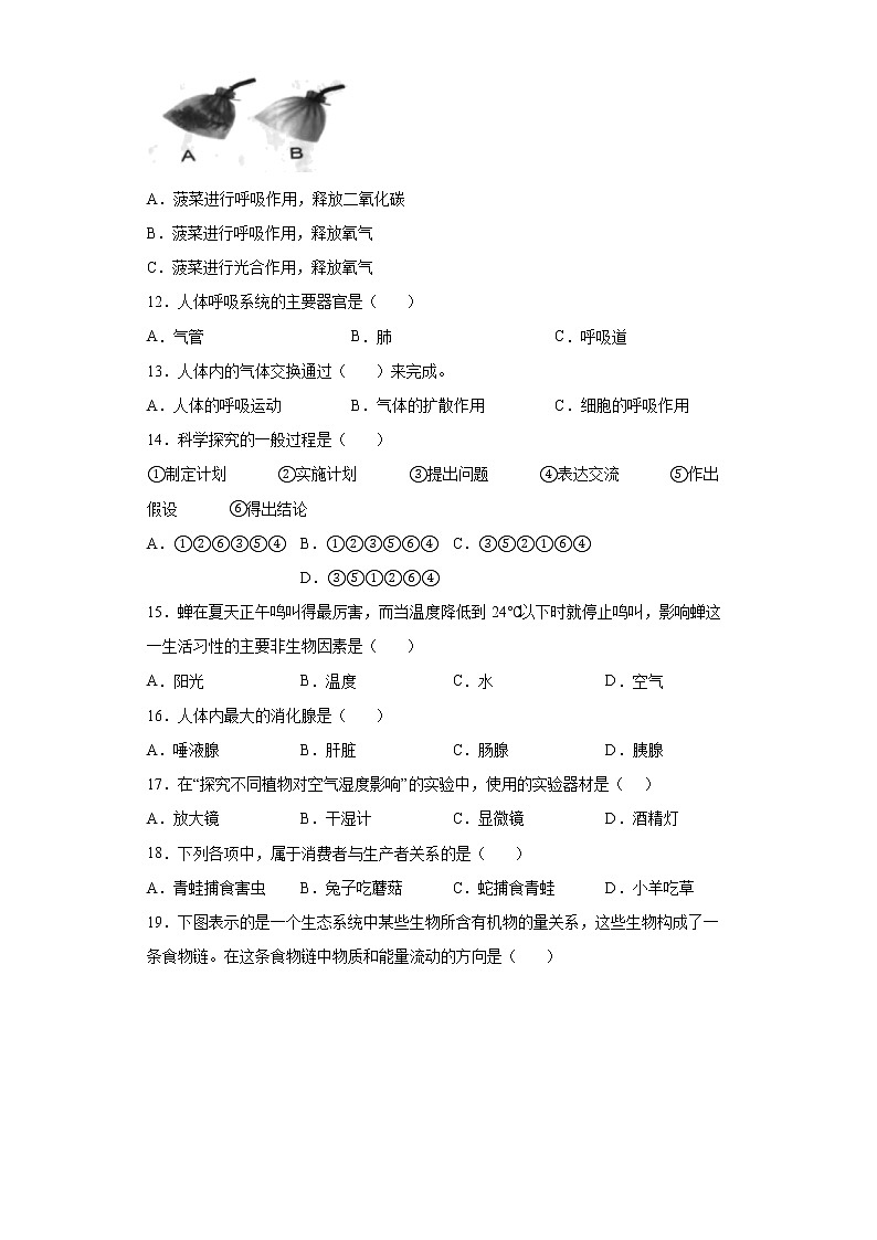 江苏省淮安市淮阴区2021-2022学年七年级上学期期末生物试题(word版含答案)第2页