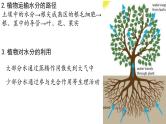 2022年中考生物一轮复习课件：专题06绿色植物与生物圈的水循环