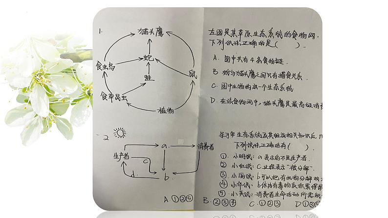 2022年海南中考生物一轮复习：主题二生物与环境——生态系统和生物圈课件第4页