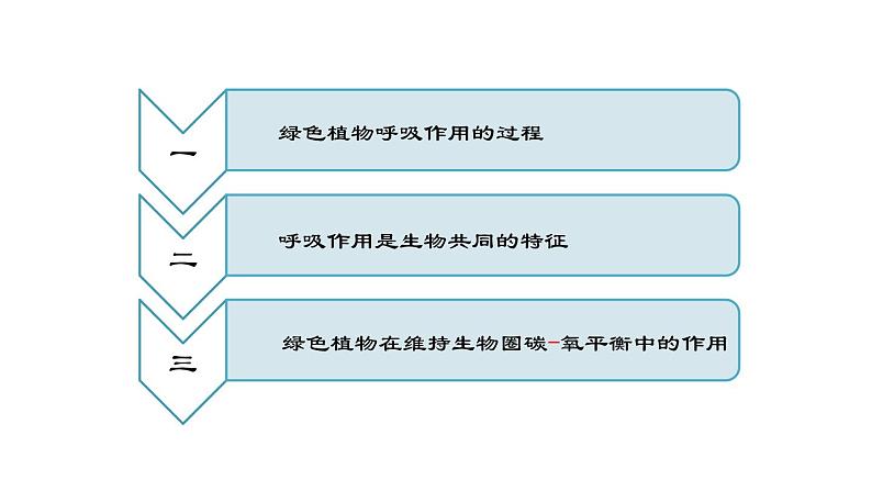 3.5.2绿色植物的呼吸作用（25张PPT）第4页