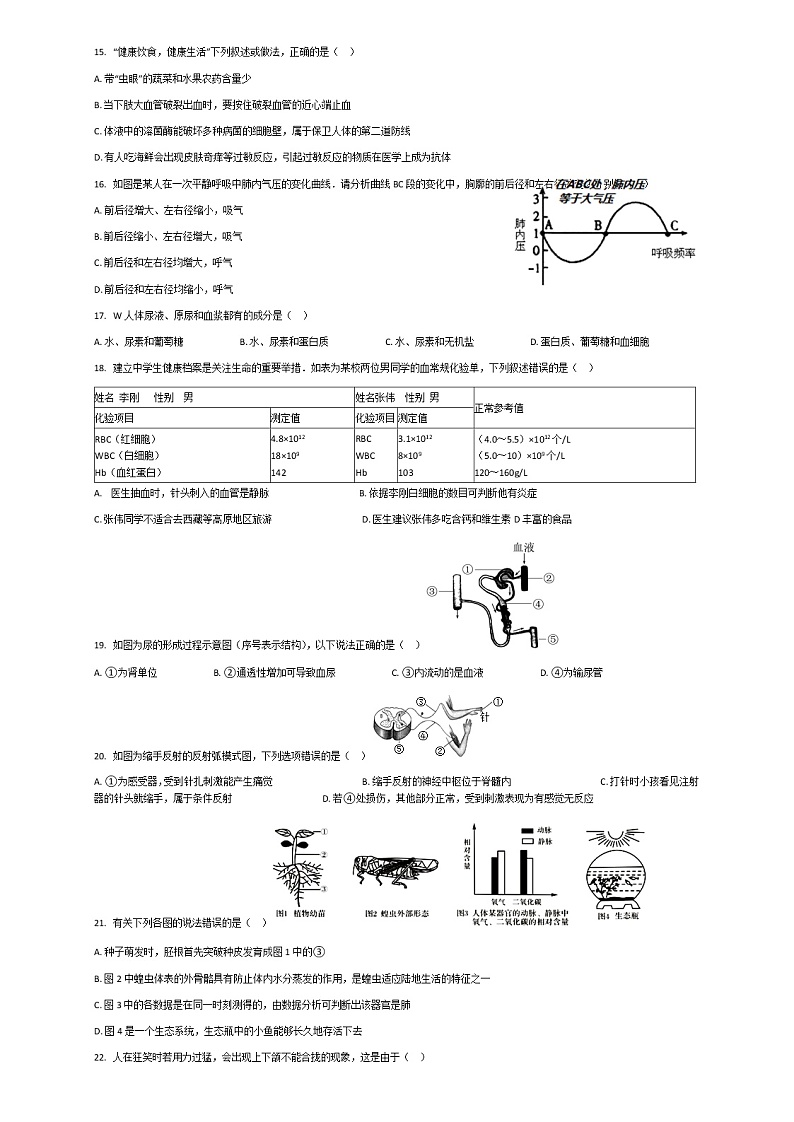 人教版初中生物八年级下册期中测试卷 (2)第3页