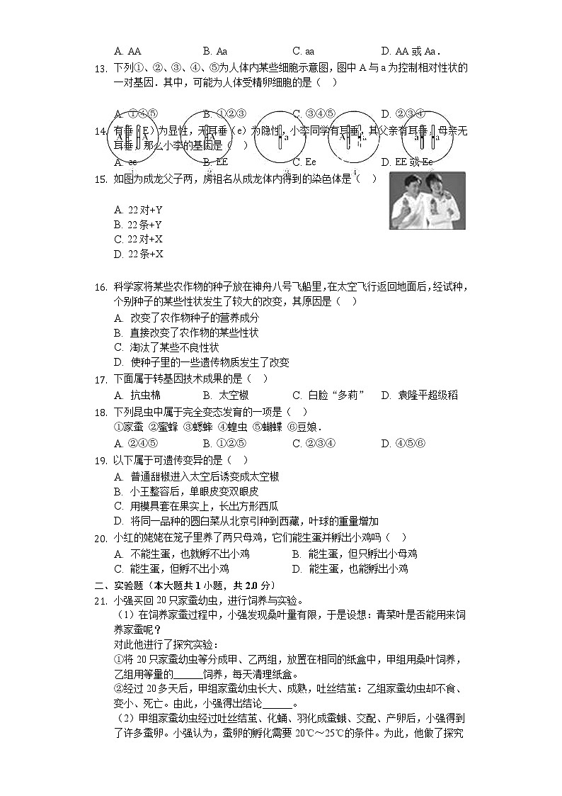人教版初中生物八年级下册期中测试卷 (3)02