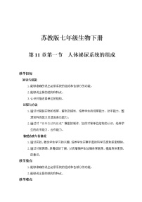 生物七年级下册第一节 人体泌尿系统的组成教案