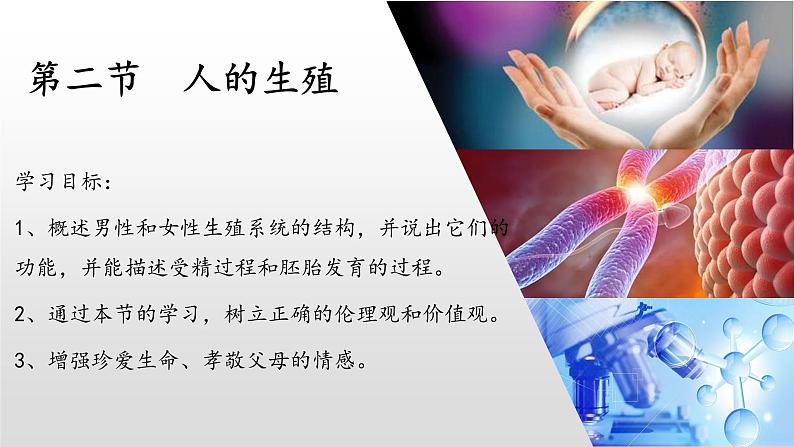 4.1.2 人的生殖课件（28张PPT）第1页