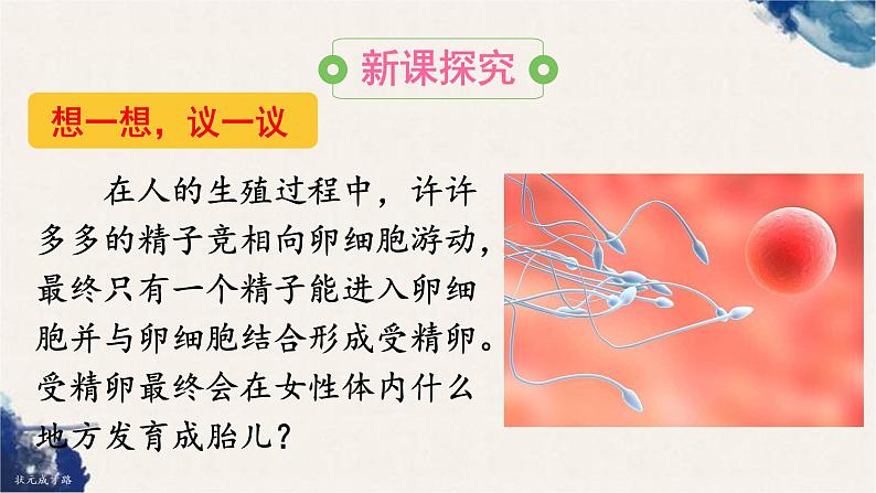 4.1.2 人的生殖课件（28张PPT）第3页