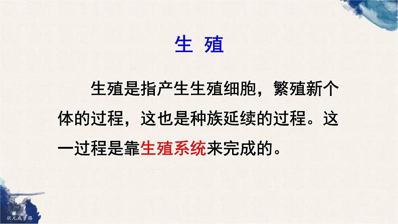 4.1.2 人的生殖课件（28张PPT）第4页