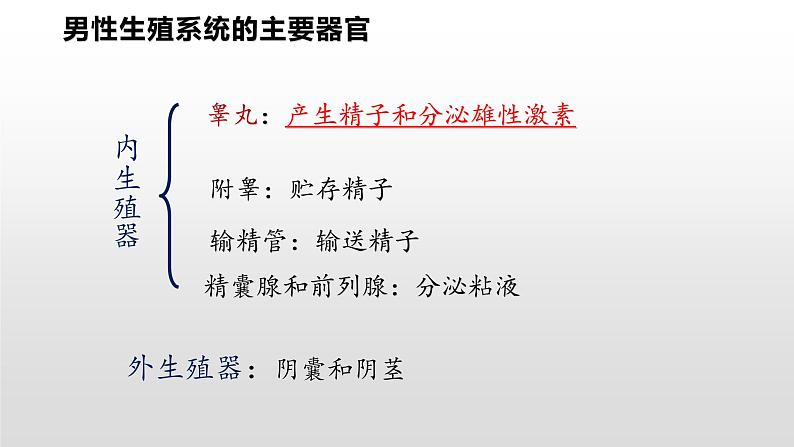 4.1.2 人的生殖课件（28张PPT）第6页