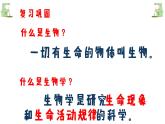 1.1.1生物的特征课件（26张PPT）