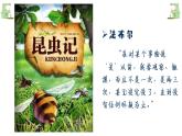 1.1.1生物的特征课件（26张PPT）