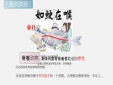 5.1.4鱼 课件（29张PPT）