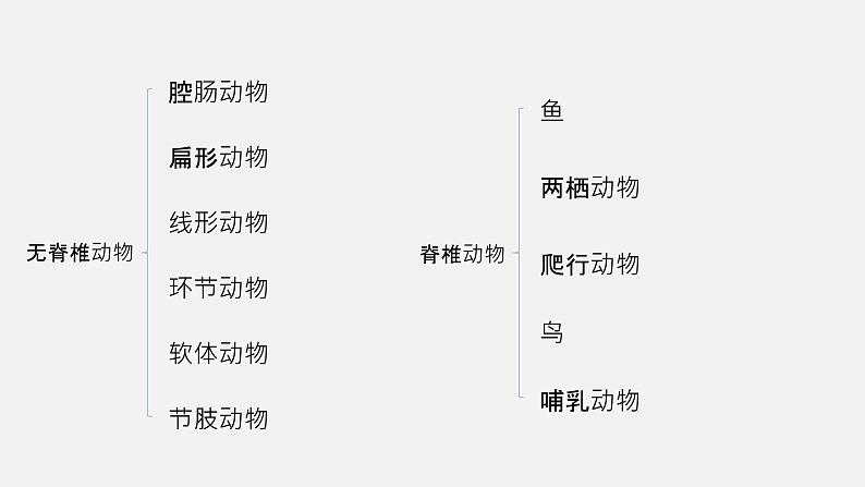 5.1.4鱼 课件（29张PPT）05