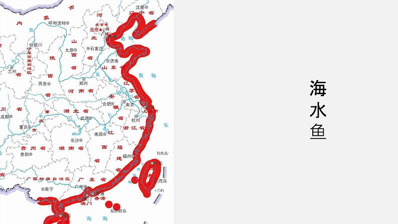 5.1.4鱼 课件（29张PPT）08