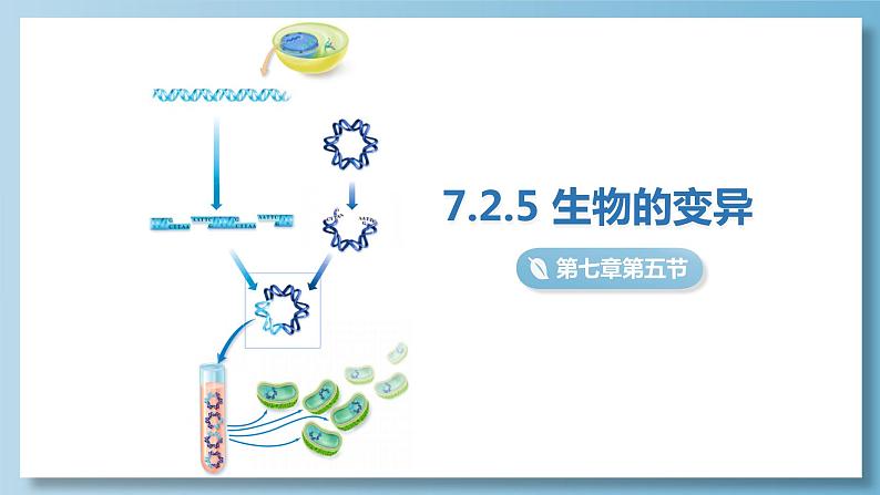 7.2.5 生物的变异课件（20张PPT）01