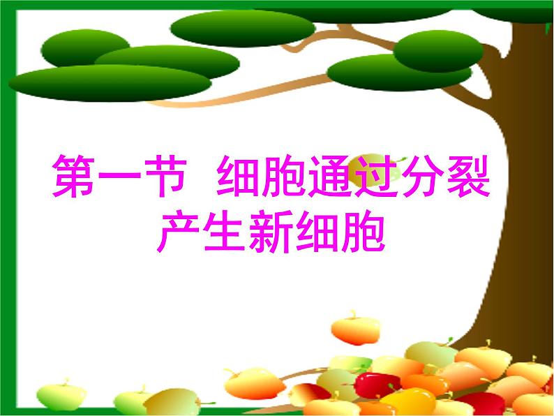 细胞通过分裂产生新细胞（50张PPT）第1页